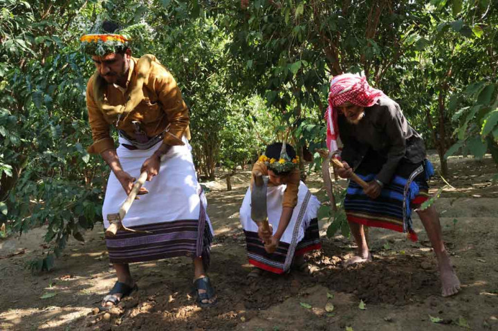 Mengenakan pakaian tradisional petani kopi, kemeja 'kamisol' berwarna gelap dan rok sepanjang mata kaki yang dikenal sebagai 'wizrah', serta ikat pinggang yang terselip keris, Malki masih bekerja di ladang meskipun usianya sudah lanjut. 