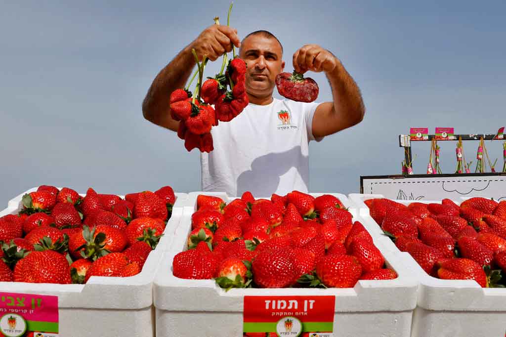 Penantian itu ternyata membuahkan hasil. Saking girangnya Ariel sampai melompat-lompat di dalam mobilnya, tertawa, dan bernyanyi ketika dia mendapat kabar itu. 