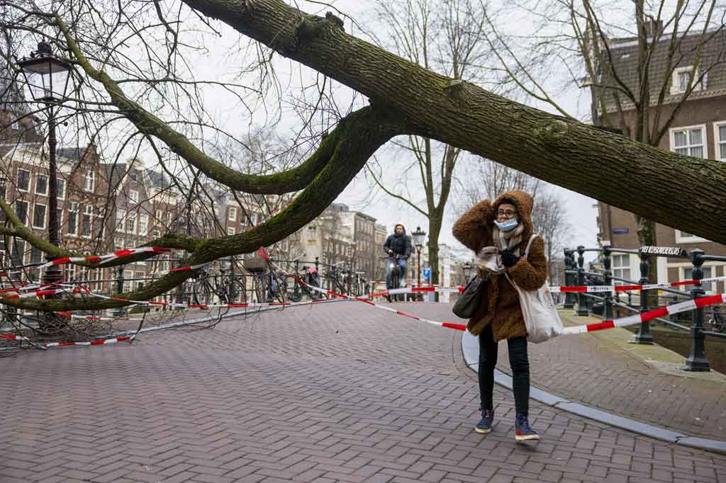 Di luar Inggris, pohon tumbang menewaskan tiga orang di Belanda dan seorang pria berusia 60-an di Irlandia tenggara, sementara seorang pria Kanada berusia 79 meninggal di Belgia.