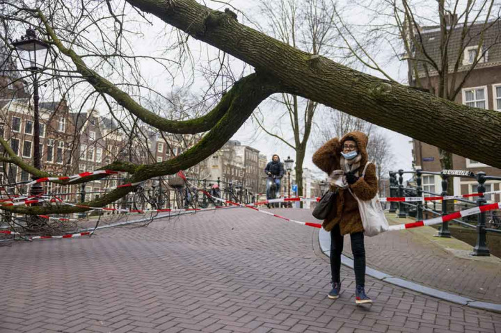Di luar Inggris, pohon tumbang menewaskan tiga orang di Belanda dan seorang pria berusia 60-an di Irlandia tenggara, sementara seorang pria Kanada berusia 79 meninggal di Belgia.