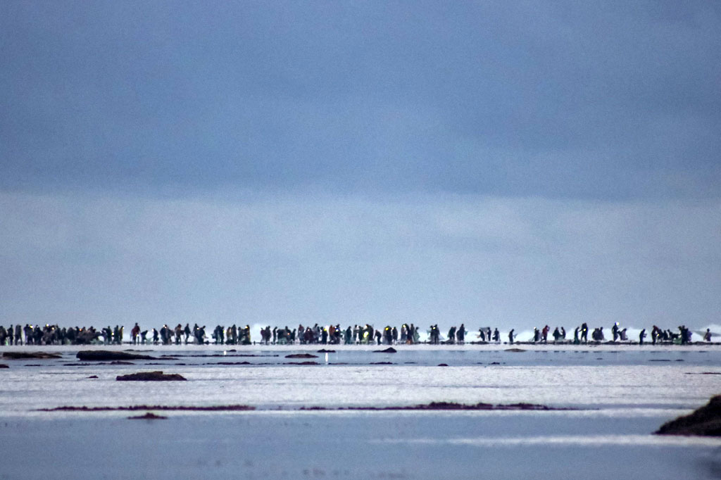Tradisi Bau Nyale merupakan tradisi turun temurun masyarakat Sasak Lombok dengan menangkap nyale (cacing laut warna-warni) yang muncul sekali setahun di pantai selatan Lombok. Nyale muncul setiap tanggal 20 bulan 10 dalam penanggalan Sasak.