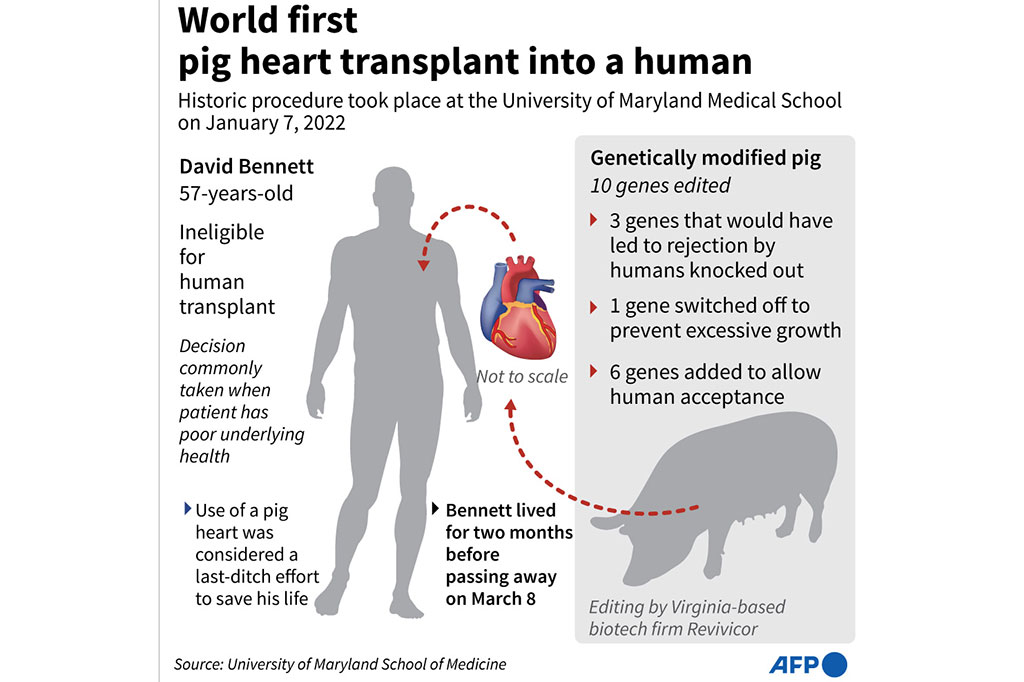 Prosedur transplantasi tersebut meningkatkan harapan bahwa kemajuan dalam donasi organ lintas spesies suatu hari nanti dapat memecahkan kekurangan kronis organ manusia yang tersedia untuk disumbangkan, dan tim di balik operasi mengatakan mereka optimis tentang keberhasilannya di masa depan.