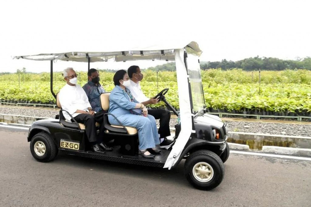 Jokowi terlihat langsung mengemudikan golf car saat meninjau Persemaian Modern Rumpin, Kecamatan Rumpin, Kabupaten Bogor. Di sebelah Jokowi, ada Presiden ke-5 RI Megawati Soekarnoputri dan di belakangnya ada Sekretaris Kabinet Pramono Anung, serta Dewan Pengarah BRIN Bambang Kesowo.