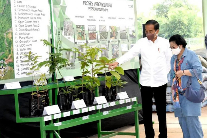 Pada kunjungan tersebut, Presiden menekankan bahwa pembangunan persemaian (nursery) merupakan salah satu upaya pemerintah dalam program rehabilitasi lahan di Tanah Air.