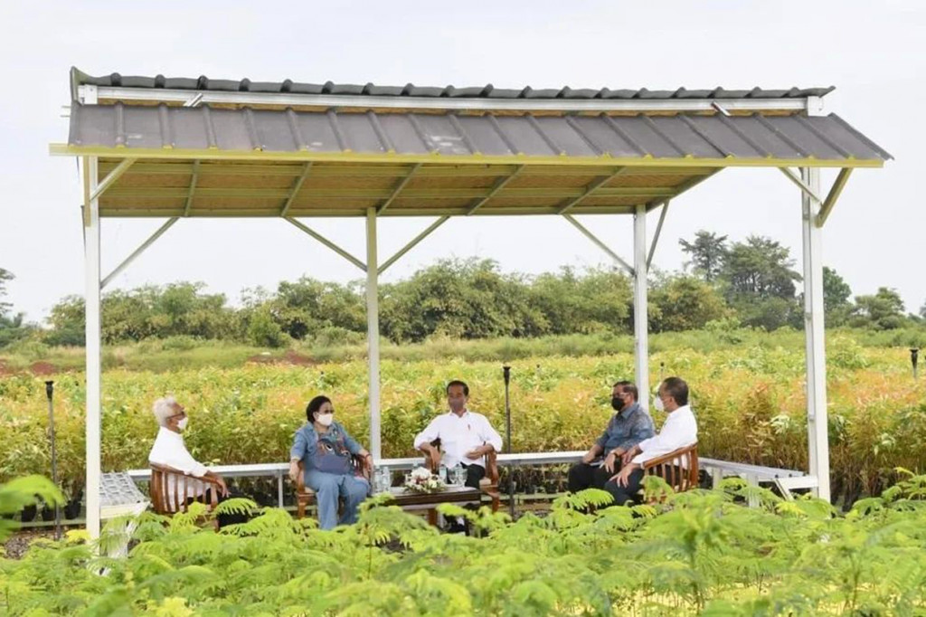 Jokowi menjelaskan pemerintah akan membangun sejumlah persemaian serupa pada 2022. Menurut Jokowi, hal tersebut juga dapat mendukung pemerintah dalam melakukan penelitian terhadap kekayaan plasma nutfah yang terdapat di Indonesia.