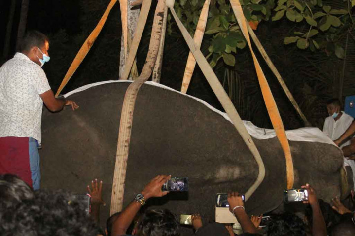 Relawan membantu mengangkat gajah suci Sri Lanka, Nadugamuwa Raja, yang mati pada Senin, 7 Maret 2022. Gajah suci tersebut mati di usia 68 tahun.