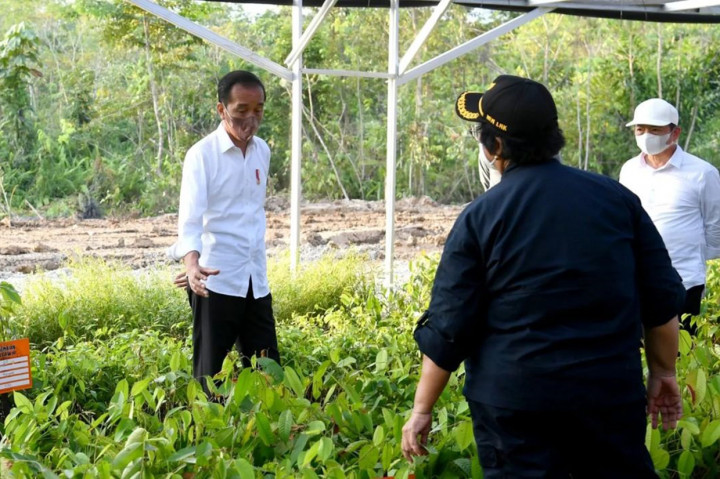 Jokowi menegaskan, pemerintah berkomitmen untuk mengawali pembangunan Ibu Kota Nusantara (IKN) dengan merehabilitasi hutan yang ada. Dia ingin kawasan IKN dapat kembali berfungsi sebagai hutan tropis.