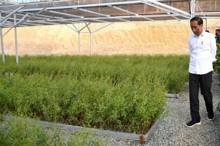 Dia berkeliling untuk melihat sejumlah fasilitas dan bibit pohon yang ada di persemaian.