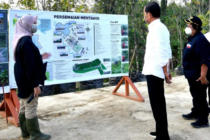 Presiden menambahkan, nantinya jutaan bibit yang dihasilkan dari Persemaian Mentawir akan dibawa ke IKN untuk kemudian ditanam di lahan-lahan kritis. 