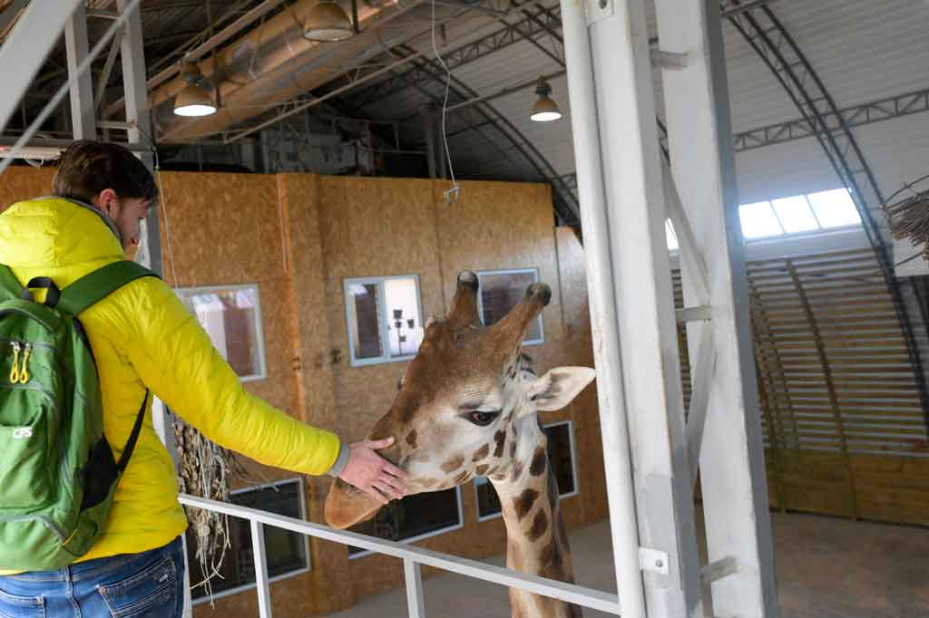 Kebun Binatang Mykolaiv menjadi yang terbaik di Ukraina, tetapi sekarang 4.000 hewan liar di dalamnya terperangkap dalam baku tembak, usai Rusia melakukan invasi.