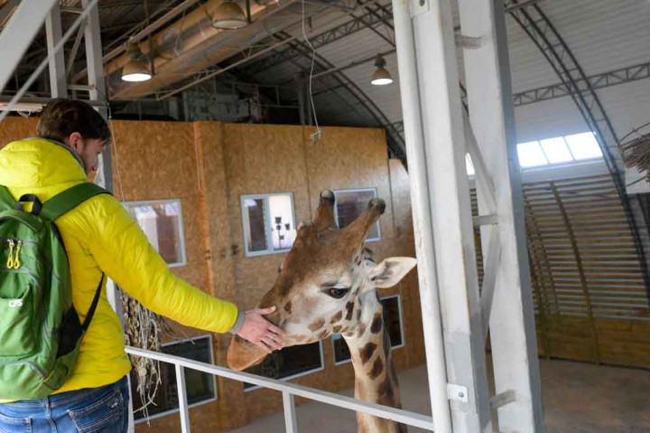 Kebun Binatang Mykolaiv menjadi yang terbaik di Ukraina, tetapi sekarang 4.000 hewan liar di dalamnya terperangkap dalam baku tembak, usai Rusia melakukan invasi.