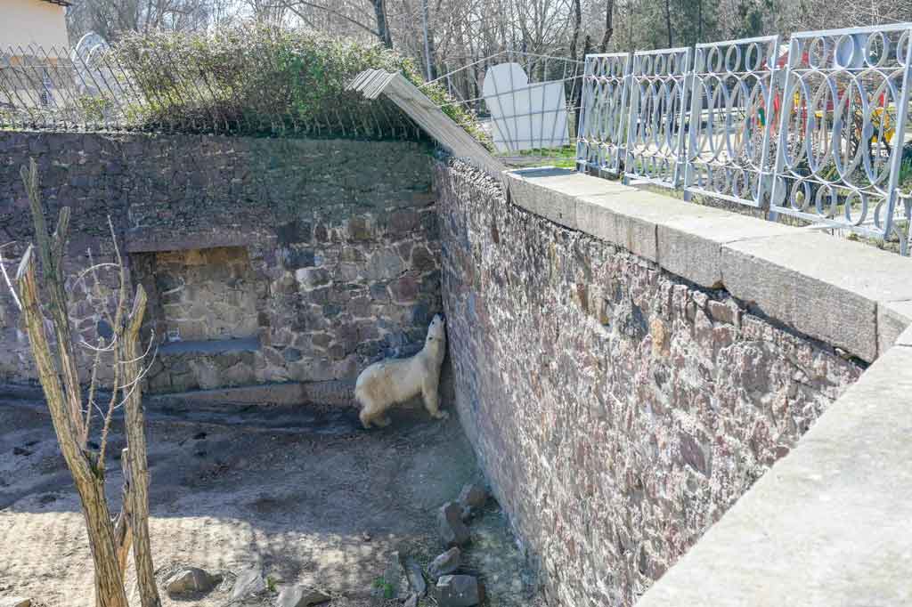 Roket pertama yang mendarat di kebun binatang, pada 27 Februari, merobek jalan setapak antara kandang harimau dan beruang kutub. Beruntung tidak ada yang terluka, baik di antara staf maupun hewan. Tiga roket lagi telah mendarat di kebun binatang, termasuk satu di kandang burung. Dua lainnya di dekat kantor administrasi.