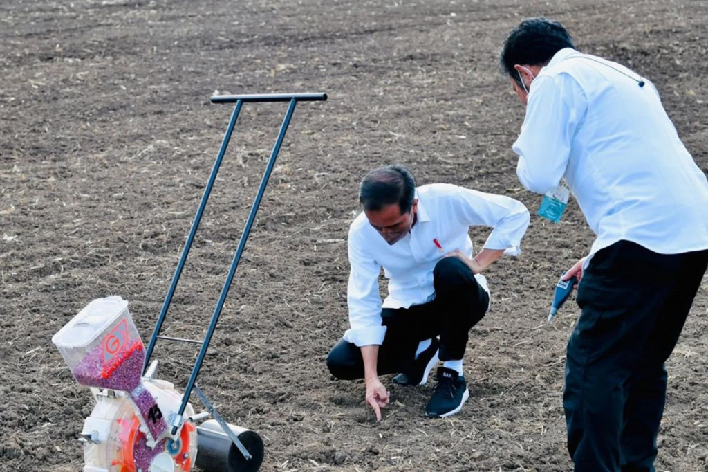 “Sore hari ini saya berada di Kabupaten Belu, Provinsi Nusa Tenggara Timur. Kita di sini baru saja membuka lahan seluas kurang lebih 53 hektare yang akan kita tanami jagung,” kata Presiden.