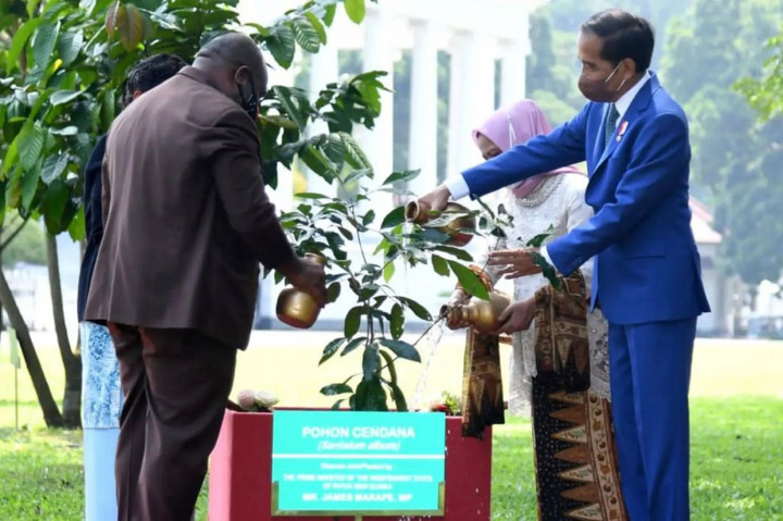 Jokowi dan James juga melakukan penanaman pohon cendana. Kedua pemimpin negara tersebut bersama delegasi melakukan pertemuan bilateral dan dilanjutkan dengan keterangan pers.