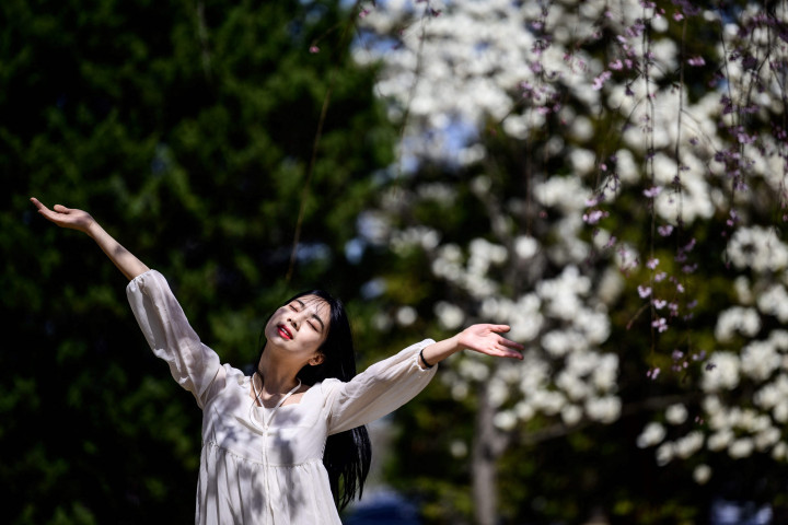 Masih ada juga beberapa tempat lainnya di Seoul yang menjadi tujuan masyarakat melihat keindahan bunga sakura.