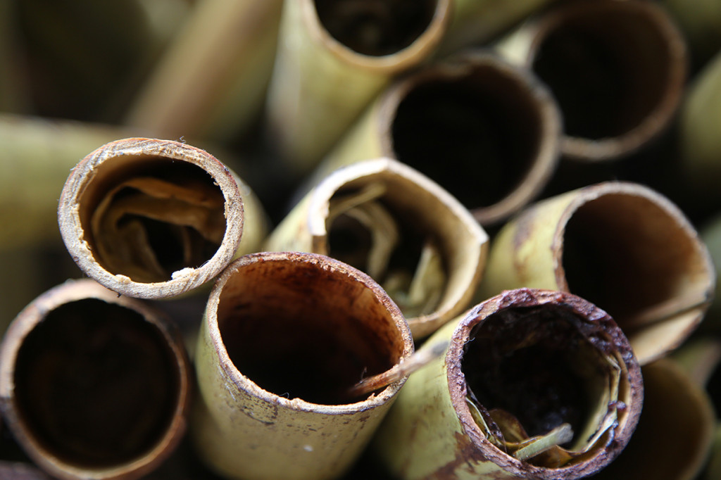 Oleh karena itu, makanan lemang menghasilkan wangi yang khas dan rasa yang gurih.