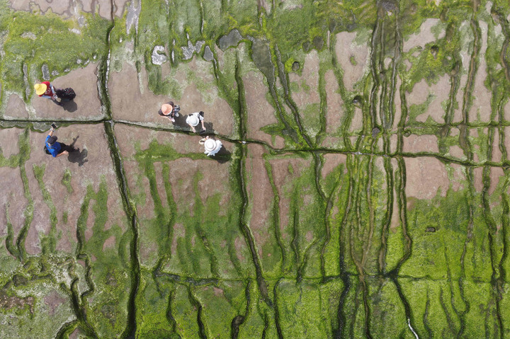 Pemandangan dari udara menunjukkan turis lokal mengunjungi Laomei Green Reef di Distrik Shimen, Kota New Taipei, 12 April 2022.