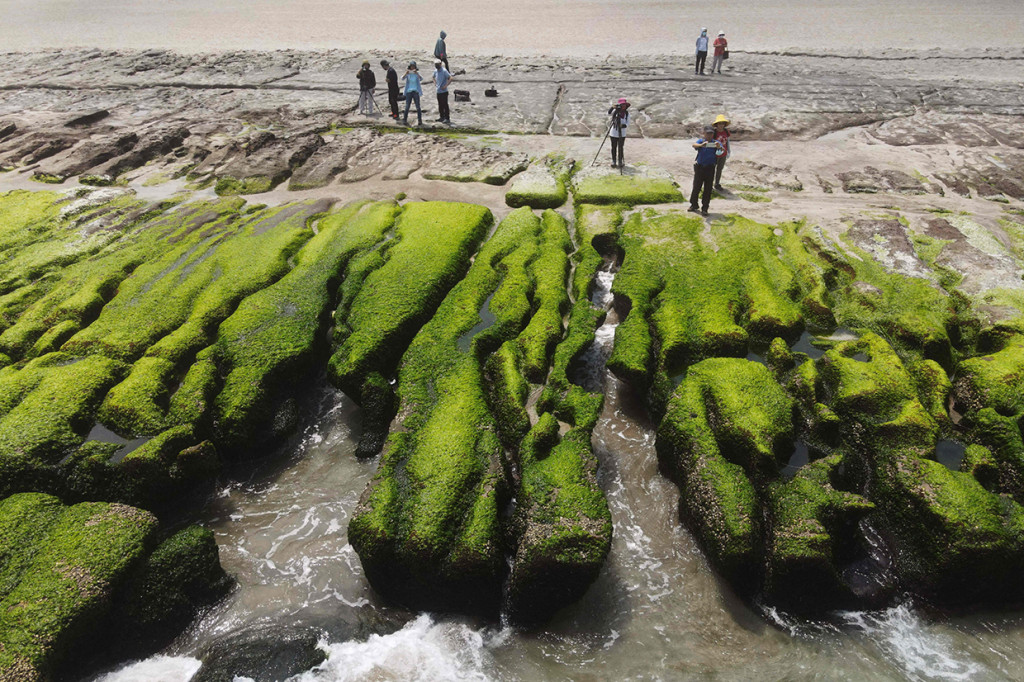 Setiap musim semi di Taiwan, hamparan ganggang hijau menutupi seluruh karang menciptakan pemandangan paling fenomenal yang bisa dibayangkan di Laomei Green Reef.
