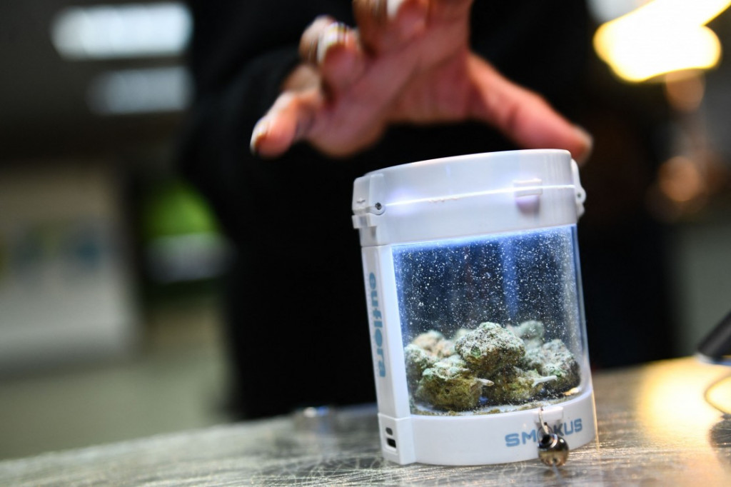 Sejumlah ganja dipajang untuk dijual di apotek ganja Euflora selama Festival Mile High 420 di Denver, Colorado, Amerika Serikat, pada 20 April 2022.