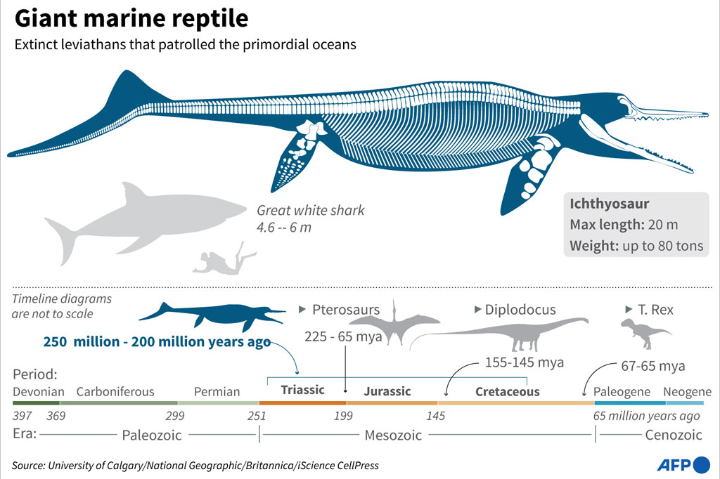 Mereka pertama kali muncul 250 juta tahun yang lalu di Trias awal, dan subtipe yang lebih kecil seperti lumba-lumba bertahan hingga 90 juta tahun yang lalu. Tapi ichthyosaurus raksasa, yang terdiri dari sebagian besar spesies, punah 200 juta tahun yang lalu.