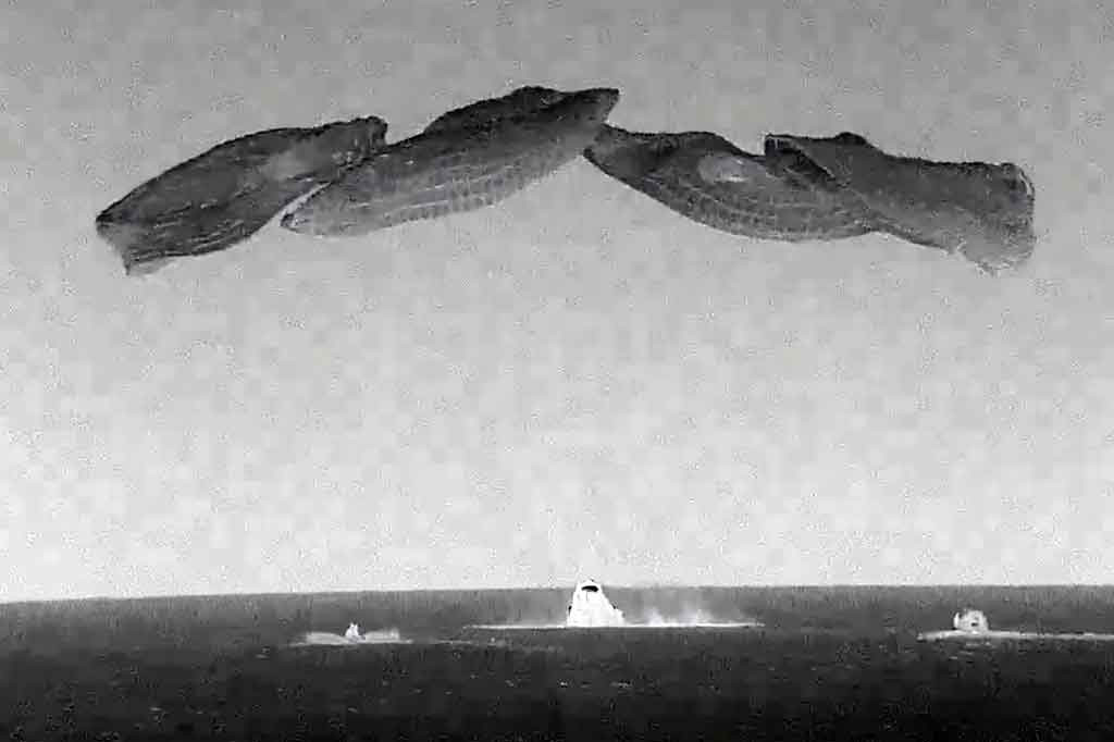  Misi Crew-3 NASA kembali ke Bumi pada hari Jumat, 6 Mei 2022, setelah enam bulan berada di Stasiun Luar Angkasa Internasional. Mereka menempuh perjalanan selama 23,5 jam, dan mendarat di pantai Florida pada 12:43 (0443 GMT).