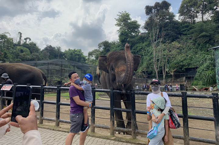 Pengunjung berfoto dengan gajah di Lembang Park & Zoo, Selasa, 10 Mei 2022.
