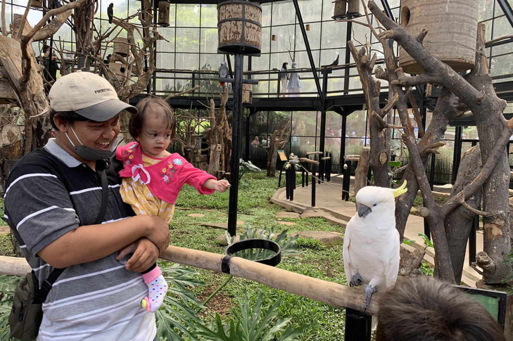 Pengunjung bermain bersama burung di Bird Aviary atau sangkar burung raksasa Lembang Park & Zoo.