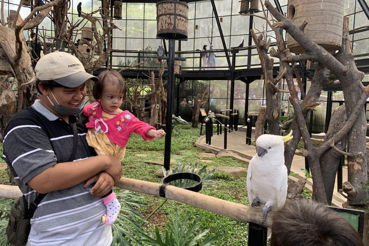 Pengunjung bermain bersama burung di Bird Aviary atau sangkar burung raksasa Lembang Park & Zoo.