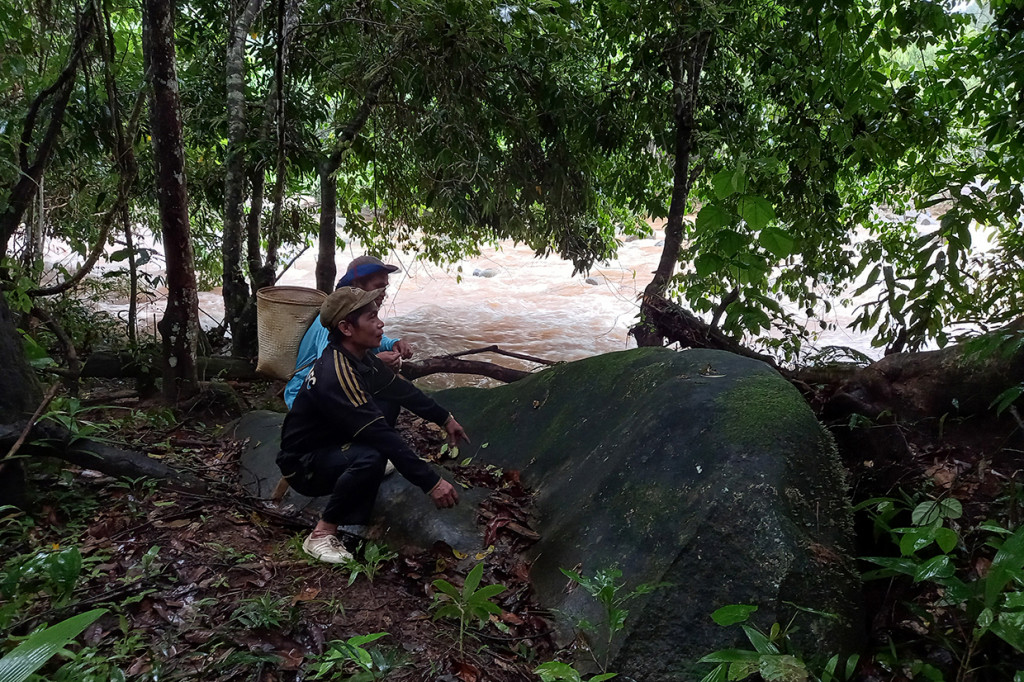Lokasi tersebut juga cukup mudah diakses sehingga memungkinkan untuk segera dilakukan pemasangan GPS Collar.