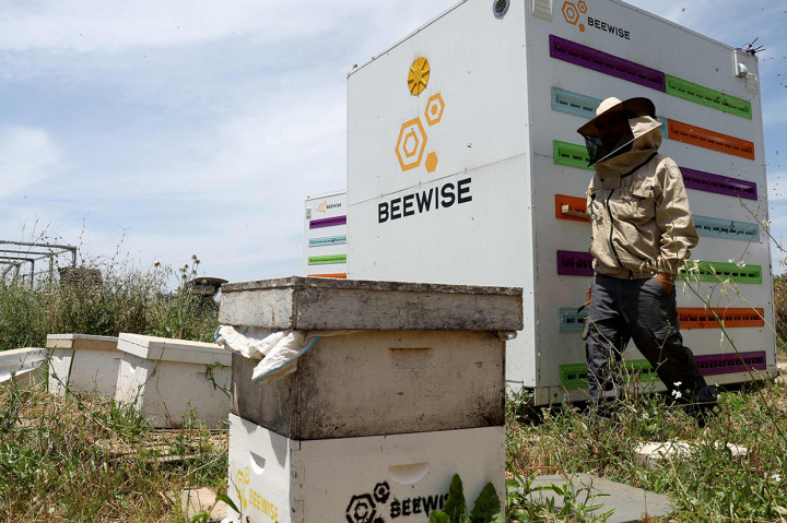 Perangkat Beehome yang dikembangkan adalah wadah konversi bertenaga surya yang menyatukan robotika, kecerdasan buatan (AI), pencitraan, platform perangkat lunak, dan aplikasi seluler untuk memantau dan merawat lebah madu sepanjang waktu.