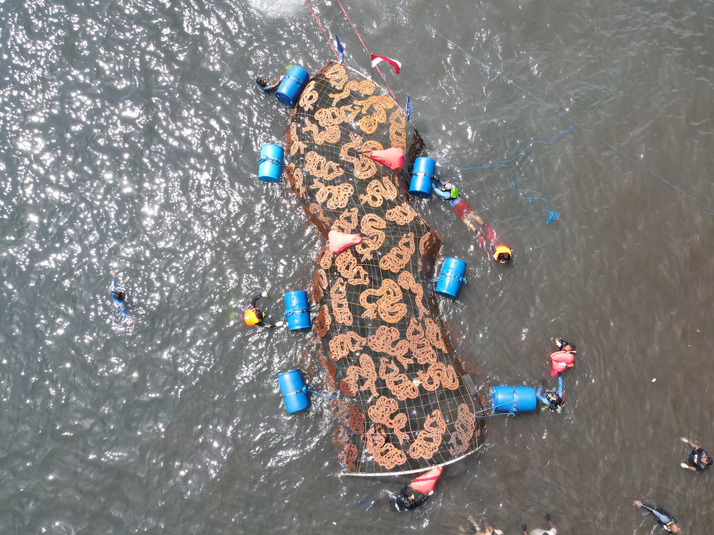 Karya yang memiliki panjang 62 meter ini menjadi domus terpanjang yang pernah dibuat.