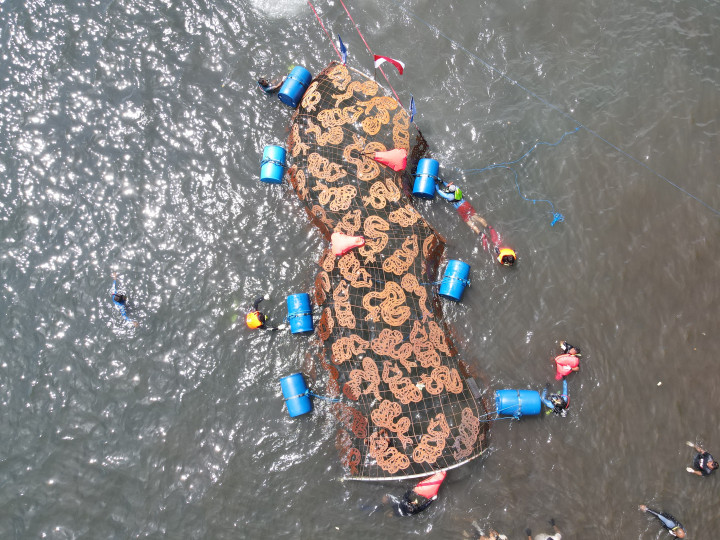 Karya yang memiliki panjang 62 meter ini menjadi domus terpanjang yang pernah dibuat.