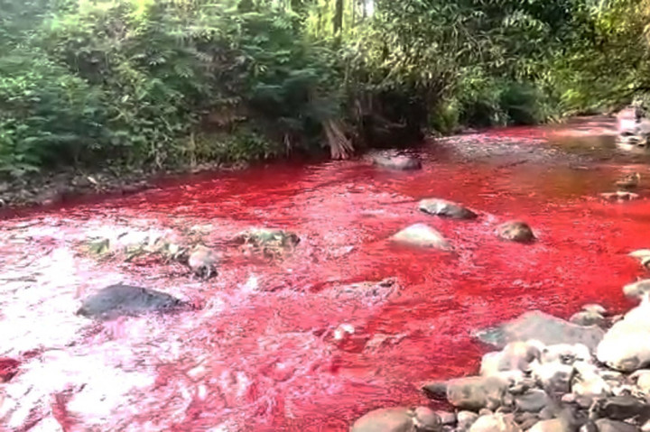 Belakangan diketahui jika fenomena perubahan warna air sungai menjadi merah itu diduga akibat warga yang membuang karung berisi pewarna ke sungai di Kampung Cikamuning, RT 20 RW 01 Desa Tagogapu, Kecamatan Padalarang. 