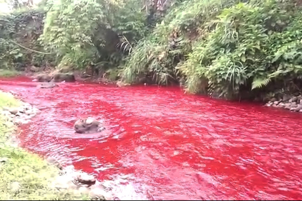 Kondisi Sungai Cimeta di Desa Tagogapu, Kecamatan Padalarang, Kabupaten Bandung Barat berubah warna menjadi merah darah, Senin, 30 Mei 2022.