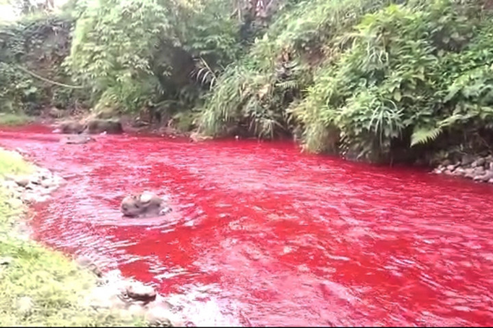 Kondisi Sungai Cimeta di Desa Tagogapu, Kecamatan Padalarang, Kabupaten Bandung Barat berubah warna menjadi merah darah, Senin, 30 Mei 2022.