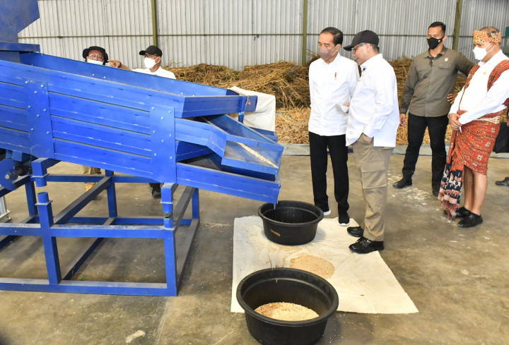 Kepala Negara mengapresiasi hasil produktivitas tanaman sorgum yang tidak hanya memberikan pendapatan besar untuk petani, tetapi juga menyerap banyak tenaga kerja. 