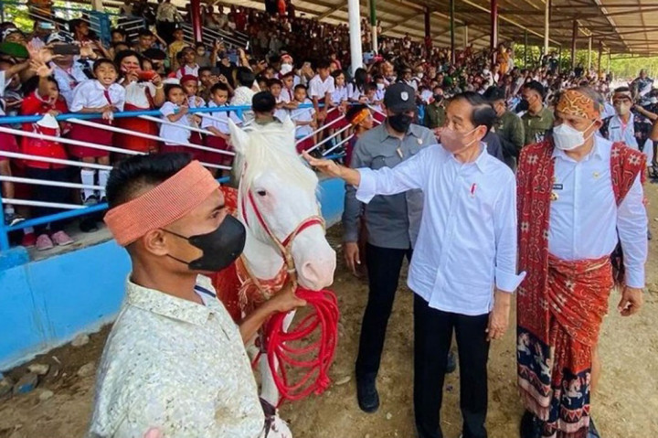 Usai menyaksikan pacuan kuda, Presiden juga sempat melihat dari dekat seekor kuda berwarna putih, sebelum meninggalkan lokasi untuk melanjutkan agenda kunjungan kerjanya.