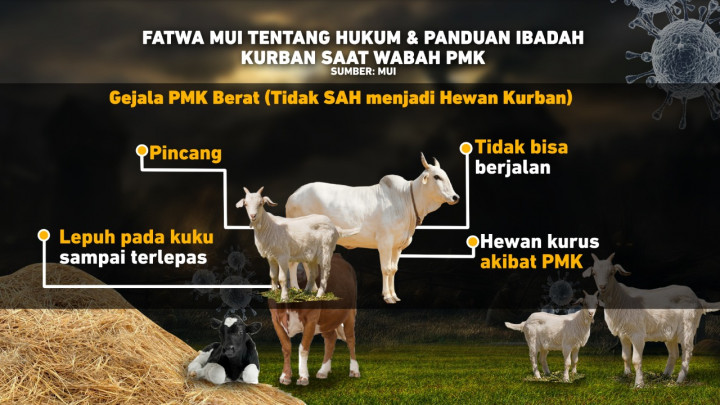 Fatwa MUI tentang Hukum dan Panduan Ibadah Kurban saat Wabah PMK
