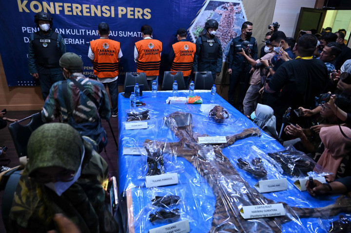 Personel Direktorat Jenderal Penegakan Hukum Lingkungan Hidup dan Kehutanan (Gakkum) Balai Pengamanan dan Penegakan Hukum Lingkungan Hidup dan Kehutanan bersama Kepolisian Polda Aceh memperlihatkan tersangka dan barang bukti kulit harimau sumatera saat gelar perkara di Mapolda Aceh, Aceh, Jumat, 3 Juni 2022.