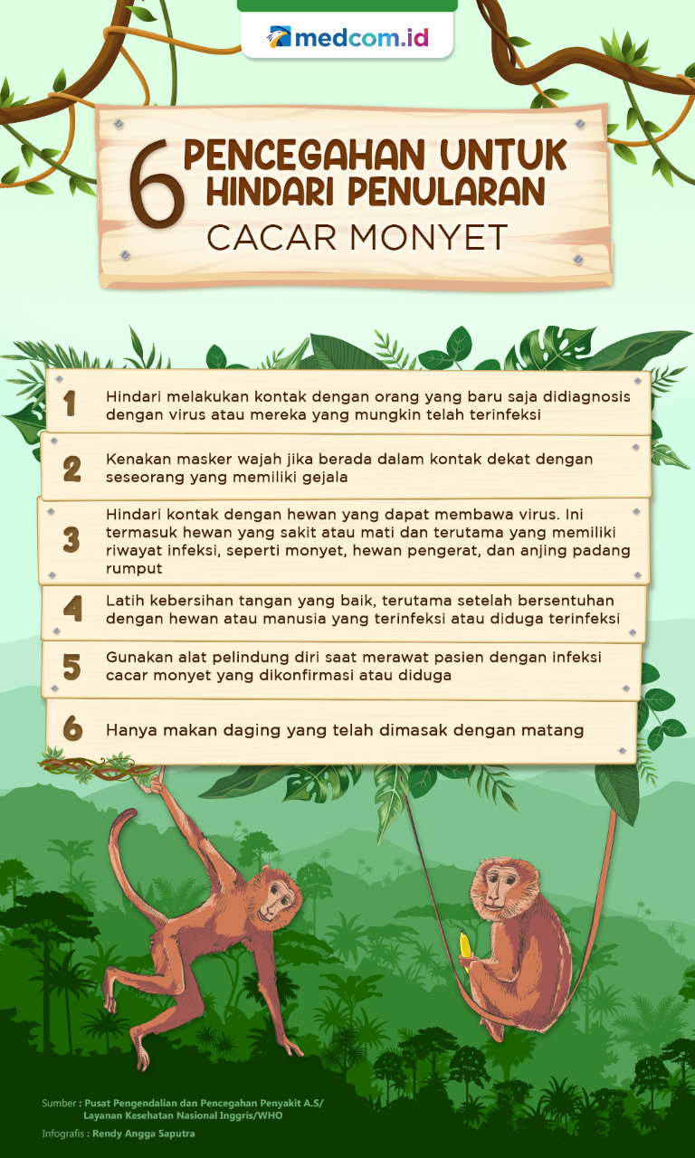 6 Pencegahan untuk Hindari Penularan Cacar Monyet