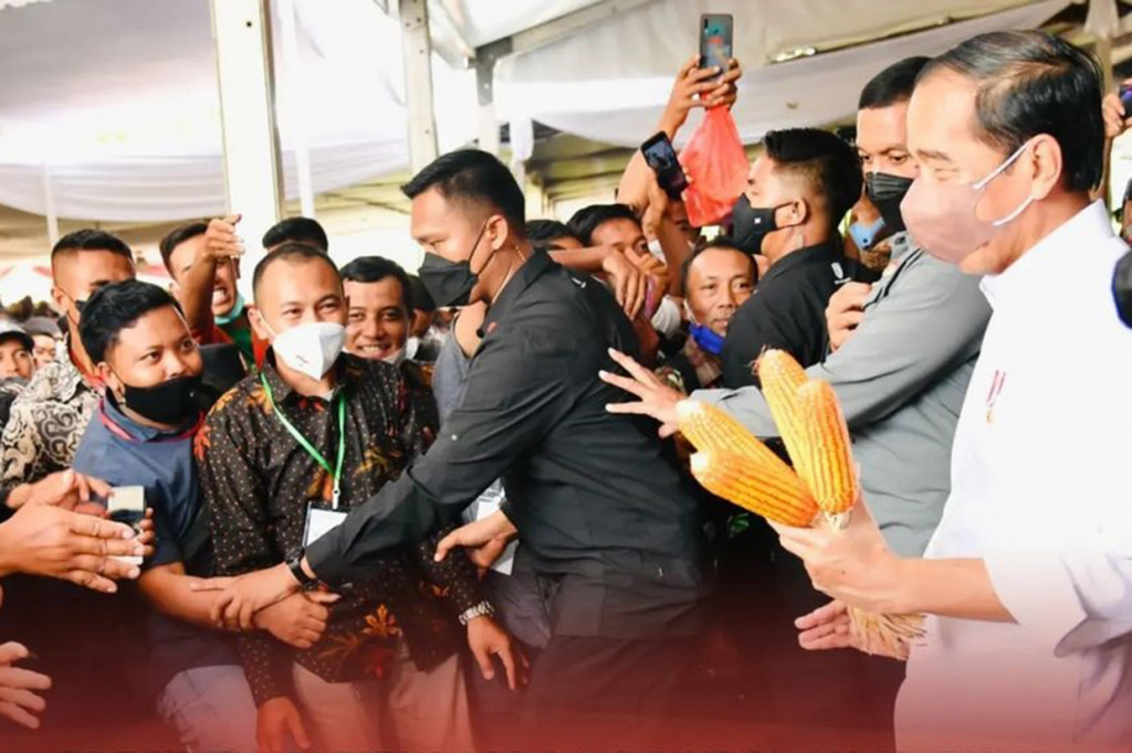 Untuk itu, Presiden mengajak para petani dan masyarakat untuk mengambil peluang dan memanfaatkan lahan yang mereka kelola dengan menanam tanaman pangan pokok, seperti padi, jagung, porang, hingga sorgum. 