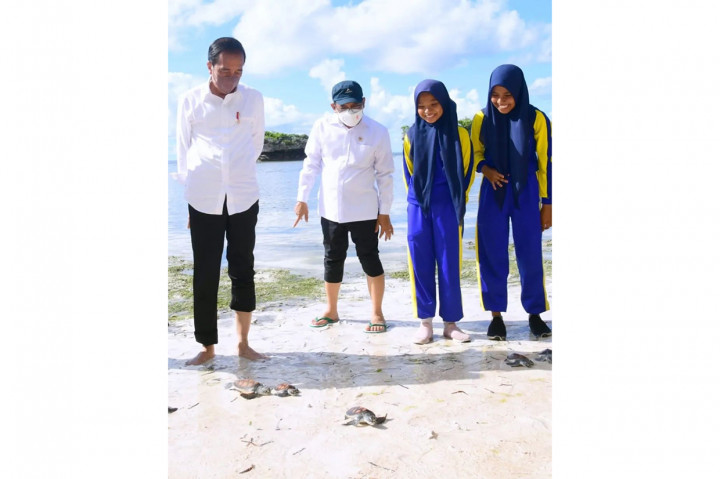 Presiden Joko Widodo dan Iriana Jokowi melepas tukik penyu bersama masyarakat, di Patuno Resort, Kabupaten Wakatobi, Sulawesi Tenggara, Kamis, 9 Juni 2022, sore.