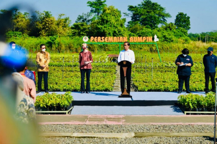 Presiden Jokowi pun sejak tiga tahun lalu telah memerintahkan untuk membangun nursery atau pusat persemaian sebanyak-banyaknya. Mulai 2021, pemerintah membangun sekitar 7 lokasi pembibitan yaitu di Bogor, Jawa Barat; di Toba, Sumatera Utara; di Mandalika, Nusa Tenggara Barat, di Labuan Bajo, Nusa Tenggara Timur; dan Likupang, Sulawesi Utara.