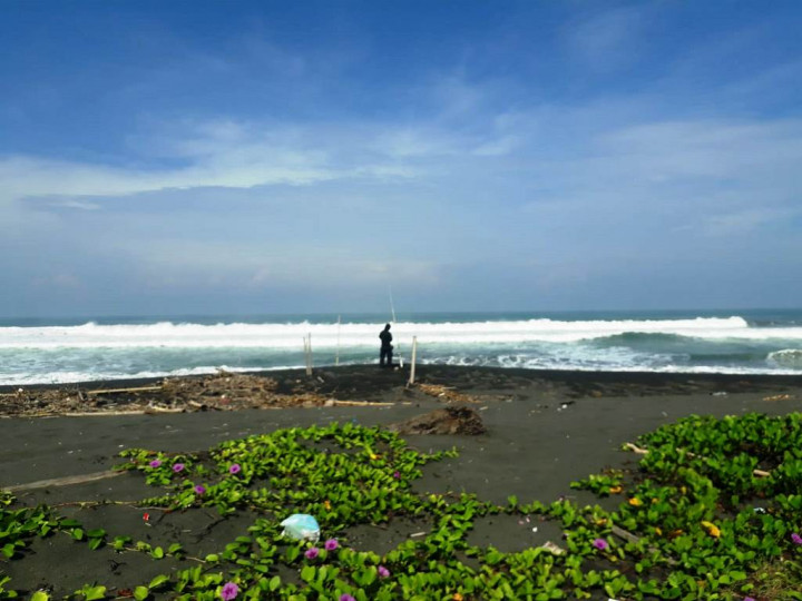 Indahnya Pantai Congot, Membius Mata