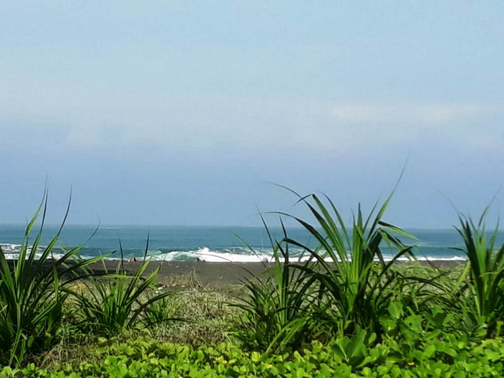 Indahnya Pantai Congot, Membius Mata