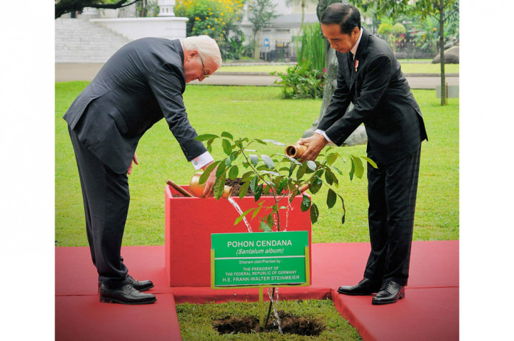  Presiden Joko Widodo (Jokowi) bersama Presiden Federasi Jerman Frank-Walter Steinmeier menanam pohon cendana di Halaman Istana Kepresidenan Bogor, Jawa Barat, Kamis, 16 Juni 2022.