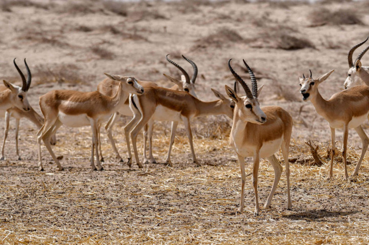 Kurangnya dana berbarengan dengan kurangnya hujan telah membuat mereka kekurangan makanan, karena kekeringan di negara itu membuat danau mengering dan menyebabkan penurunan hasil panen.