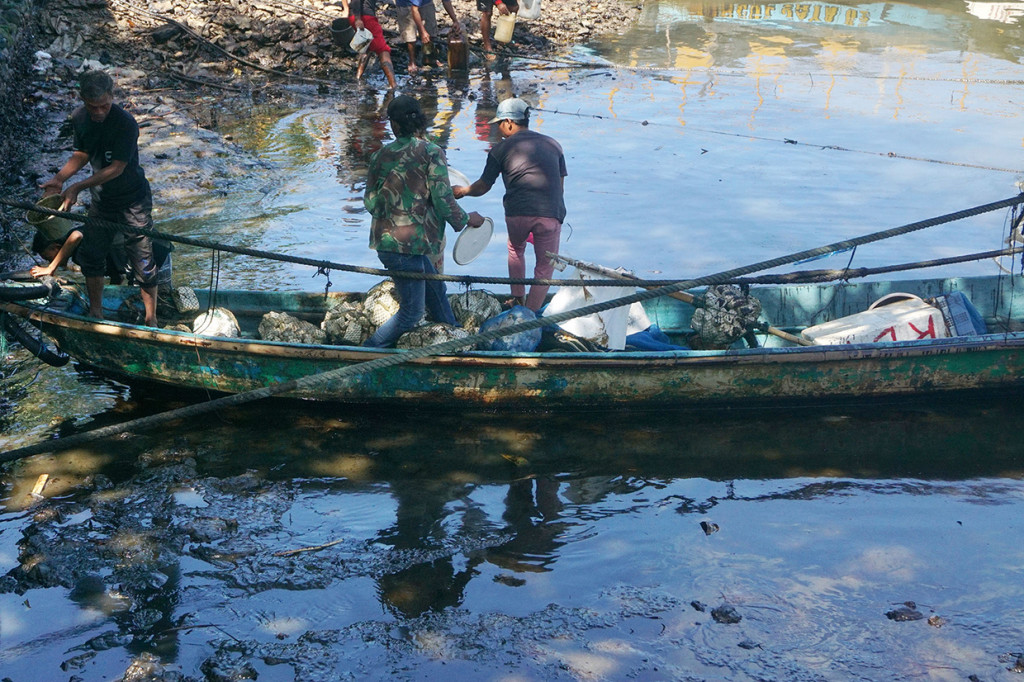 Hingga kini, sumber pencemaran masih dicari. Dugaan sementara dari kapal tanker. Tetapi belum dapat dipastikan sumber tumpahan minyak tersebut.
