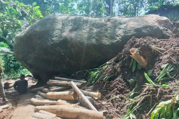 Staf Ahli Bupati Ciamis Bidang Hukum dan Kesejahteraan Rakyat (Kesra), Ani Supiani mengatakan, dari hasil pengecekan ke lokasi longsor yang membawa material hingga batu berukuran 7x5 meter dengan tinggi 6 meter memang telah menimbun jalan desa dan menyebabkan 110 kepala keluarga atau 250 jiwa terisolasi. Namun, petugas gabungan sudah membersihkan material longsoran tapi batu ukuran besar tidak bisa dilakukan.