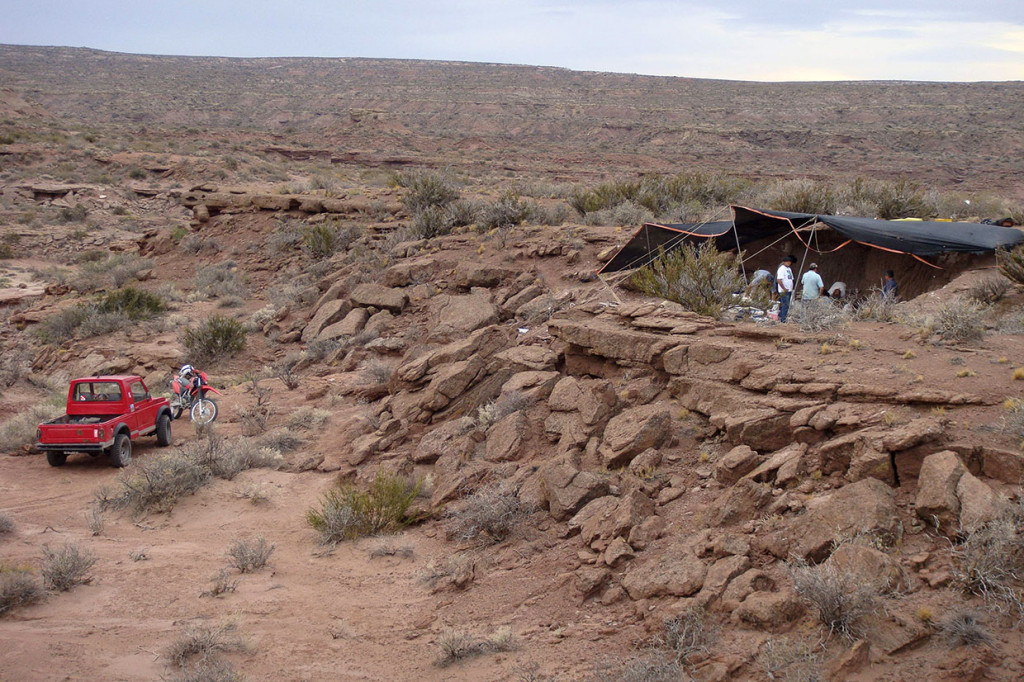 Ahli paleontologi mengatakan bahwa mereka telah menemukan spesies dinosaurus karnivora raksasa baru yang memiliki kepala besar dan lengan kecil, seperti Tyrannosaurus rex.